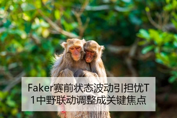 Faker赛前状态波动引担忧T1中野联动调整成关键焦点