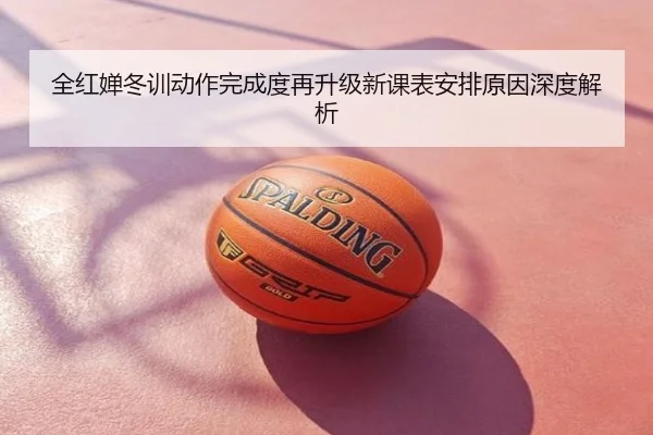 全红婵冬训动作完成度再升级新课表安排原因深度解析